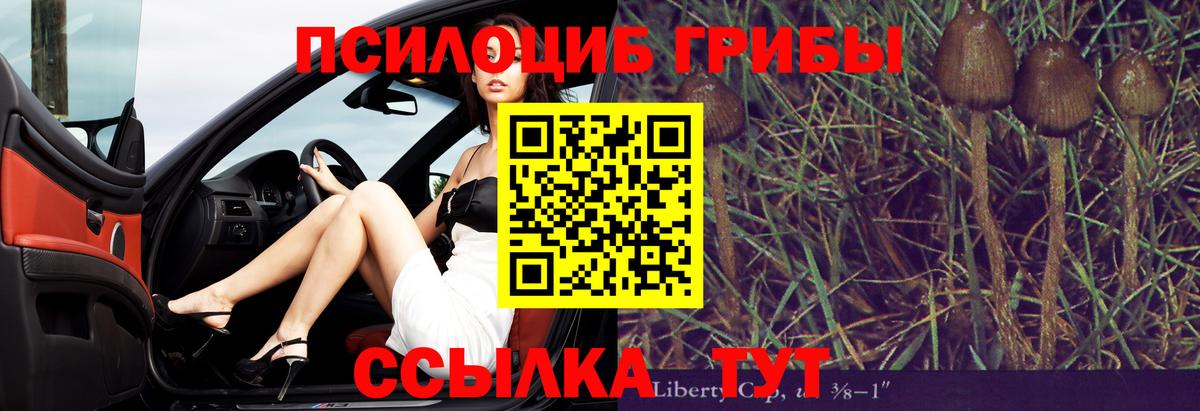 Псилоцибиновые грибы мухоморы  Вход с VPN  Малоярославец  Псилоцибиновые грибы Psilocybe 